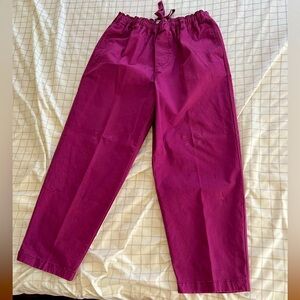 Stoic Men’s Purple Pull-on Hiker Pants